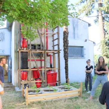 Du matériau à l’habitat